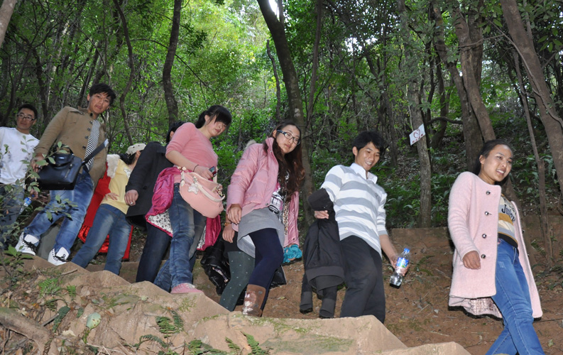 青龍峽位于昆明西郊安寧市青龍鎮(zhèn)滇中生態(tài)大峽谷中，景區(qū)有保存較為完好的植物群落，遮天蔽日的參天古木；有浪漫山花，野果飄香，還有清秀寧靜的田園風(fēng)光。河谷沿岸古柳成蔭，幾十里的云南櫻花大道成為昆明郊游靚麗的風(fēng)景線。景區(qū)中溪水潺潺，千姿百態(tài)、千奇百怪的蔓藤風(fēng)光隨處可見，號稱“都市身旁的小九寨。